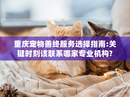 重庆宠物善终服务选择指南:关键时刻该联系哪家专业机构?