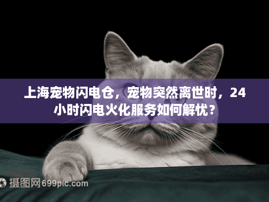 上海宠物闪电仓，宠物突然离世时，24小时闪电火化服务如何解忧？