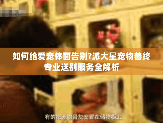 如何给爱宠体面告别?派大星宠物善终专业送别服务全解析
