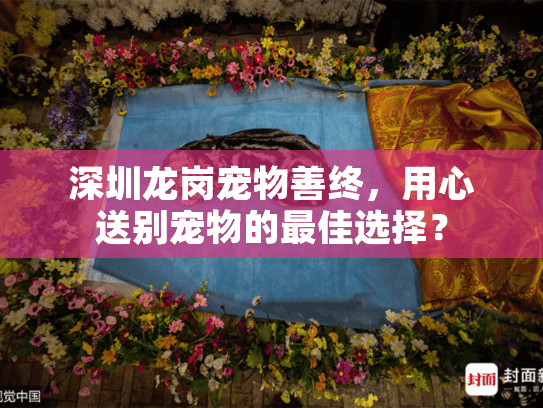深圳龙岗宠物善终，用心送别宠物的最佳选择？