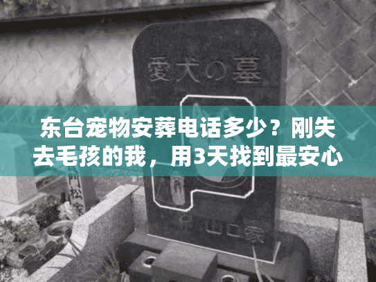 东台宠物安葬电话多少？刚失去毛孩的我，用3天找到最安心的答案