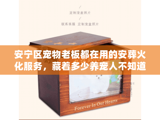 安宁区宠物老板都在用的安葬火化服务，藏着多少养宠人不知道的心细活？