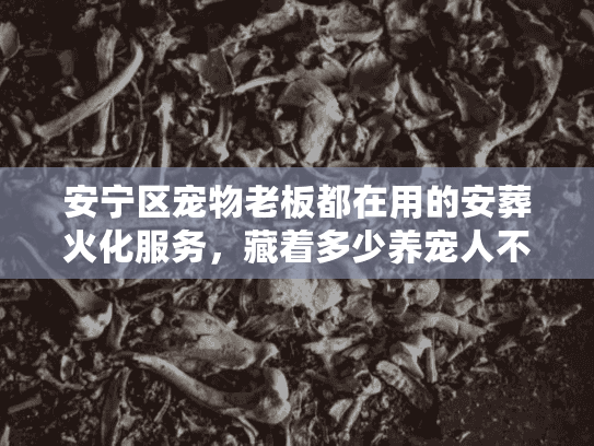 安宁区宠物老板都在用的安葬火化服务，藏着多少养宠人不知道的心细活？