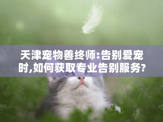 天津宠物善终师:告别爱宠时,如何获取专业告别服务?