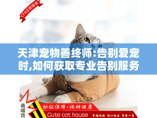 天津宠物善终师:告别爱宠时,如何获取专业告别服务?