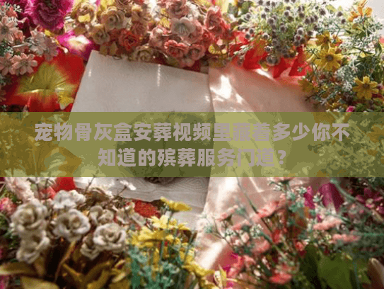 宠物骨灰盒安葬视频里藏着多少你不知道的殡葬服务门道？