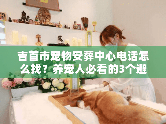 吉首市宠物安葬中心电话怎么找？养宠人必看的3个避坑+1个直接能打的号码
