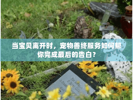 当宝贝离开时，宠物善终服务如何帮你完成最后的告白？