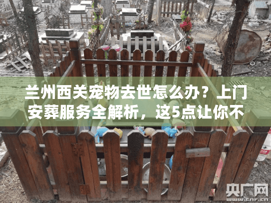 兰州西关宠物去世怎么办？上门安葬服务全解析，这5点让你不踩坑