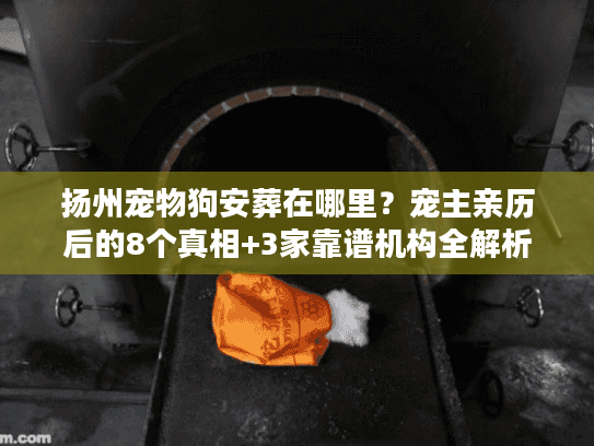 扬州宠物狗安葬在哪里？宠主亲历后的8个真相+3家靠谱机构全解析