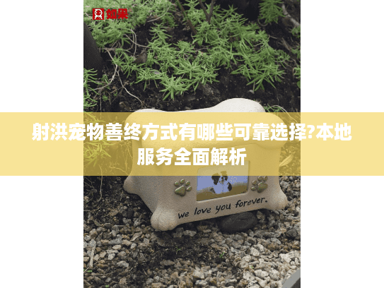 射洪宠物善终方式有哪些可靠选择?本地服务全面解析