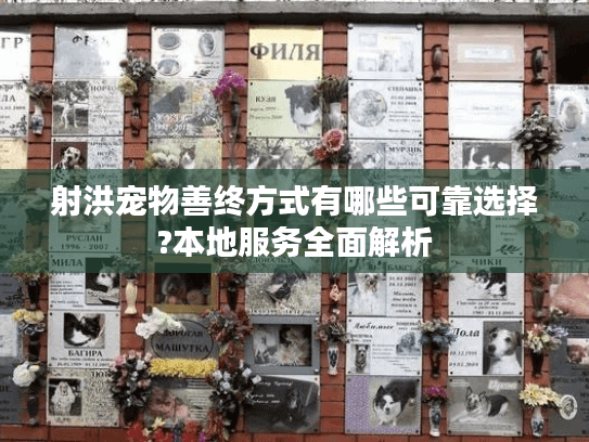 射洪宠物善终方式有哪些可靠选择?本地服务全面解析