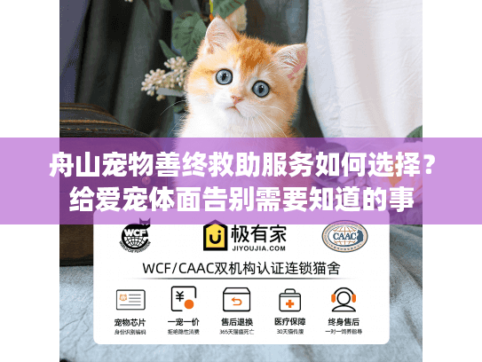 舟山宠物善终救助服务如何选择？给爱宠体面告别需要知道的事