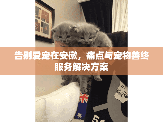 告别爱宠在安徽，痛点与宠物善终服务解决方案
