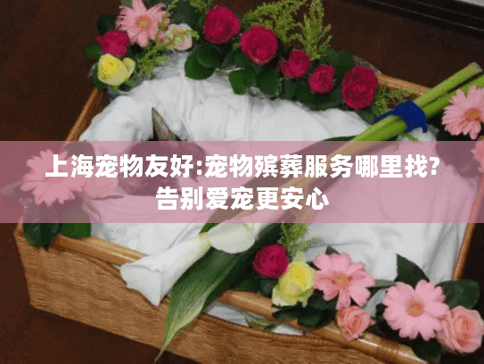 上海宠物友好:宠物殡葬服务哪里找?告别爱宠更安心