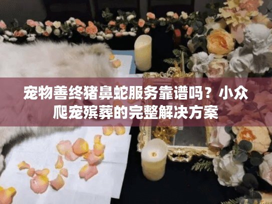 宠物善终猪鼻蛇服务靠谱吗？小众爬宠殡葬的完整解决方案
