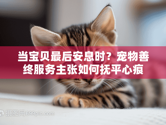 当宝贝最后安息时？宠物善终服务主张如何抚平心痕