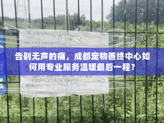 告别无声的痛，成都宠物善终中心如何用专业服务温暖最后一程？