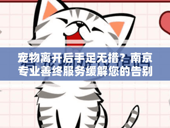 宠物离开后手足无措？南京专业善终服务缓解您的告别伤痛