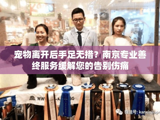 宠物离开后手足无措？南京专业善终服务缓解您的告别伤痛