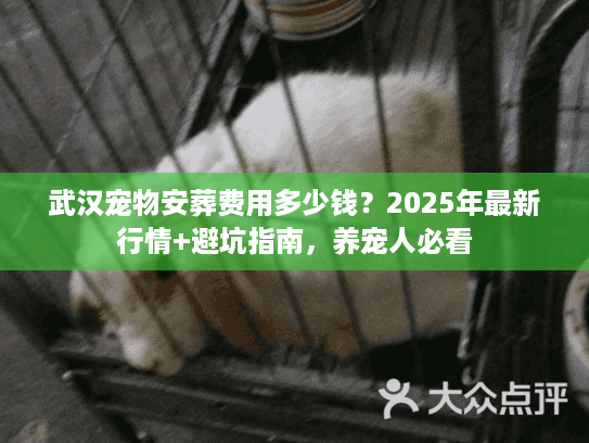 武汉宠物安葬费用多少钱？2025年最新行情+避坑指南，养宠人必看