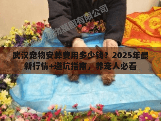 武汉宠物安葬费用多少钱？2025年最新行情+避坑指南，养宠人必看