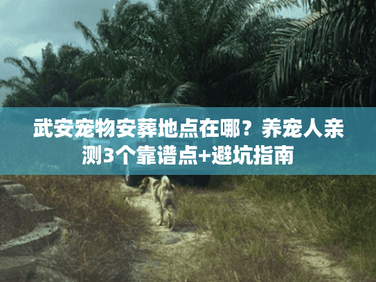 武安宠物安葬地点在哪？养宠人亲测3个靠谱点+避坑指南