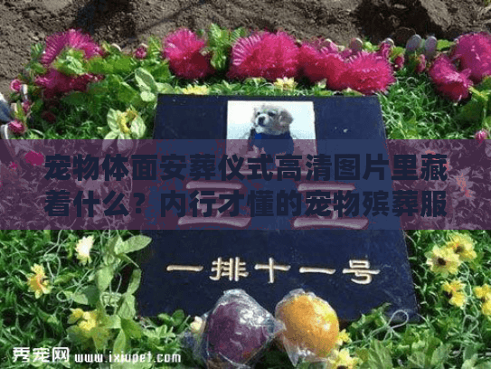 宠物体面安葬仪式高清图片里藏着什么？内行才懂的宠物殡葬服务门道