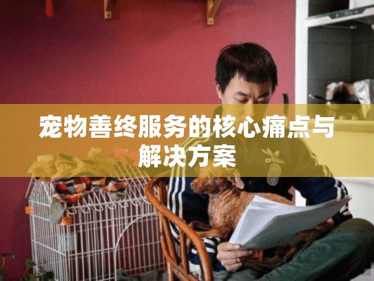 宠物善终服务的核心痛点与解决方案