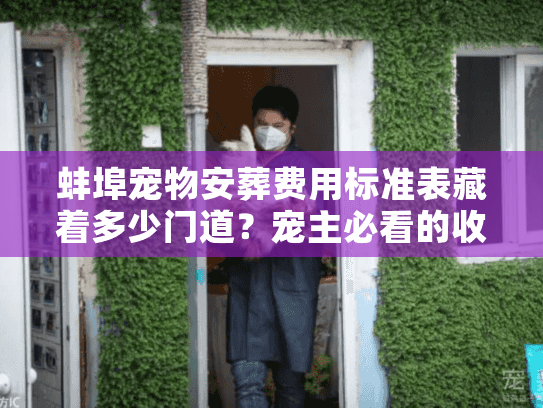 蚌埠宠物安葬费用标准表藏着多少门道？宠主必看的收费真相与避坑指南