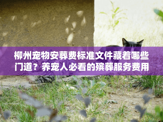 柳州宠物安葬费标准文件藏着哪些门道？养宠人必看的殡葬服务费用真相