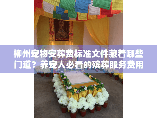 柳州宠物安葬费标准文件藏着哪些门道？养宠人必看的殡葬服务费用真相