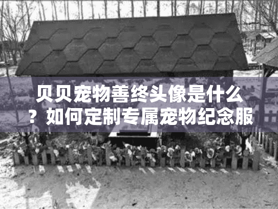 贝贝宠物善终头像是什么？如何定制专属宠物纪念服务