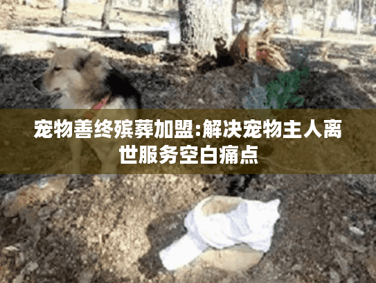 宠物善终殡葬加盟:解决宠物主人离世服务空白痛点