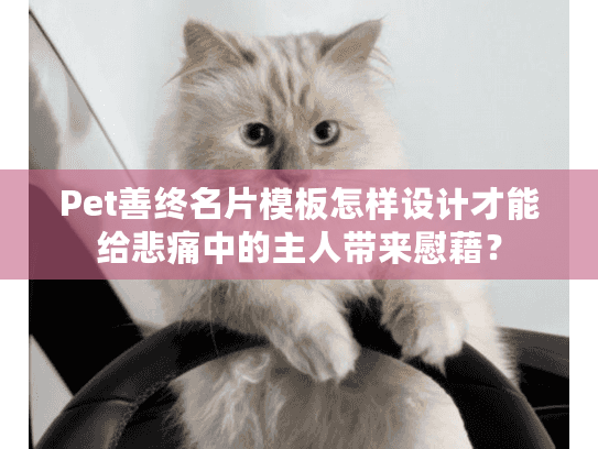 Pet善终名片模板怎样设计才能给悲痛中的主人带来慰藉？