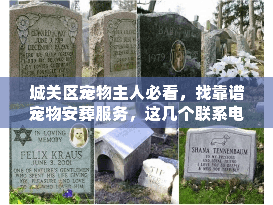 城关区宠物主人必看，找靠谱宠物安葬服务，这几个联系电话和门道你得先搞清楚！