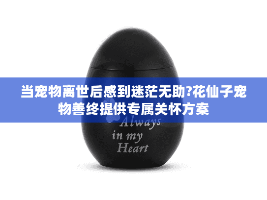 当宠物离世后感到迷茫无助?花仙子宠物善终提供专属关怀方案