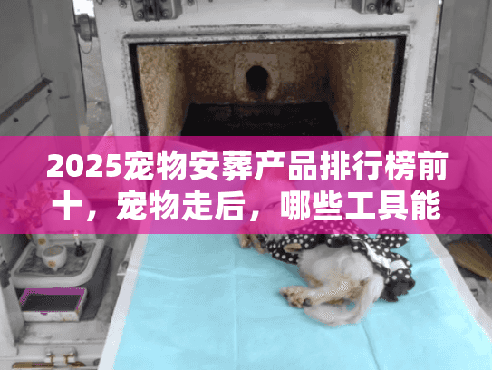2025宠物安葬产品排行榜前十，宠物走后，哪些工具能接住你没说出口的舍不得？