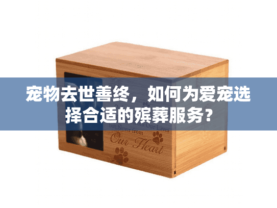 宠物去世善终，如何为爱宠选择合适的殡葬服务？