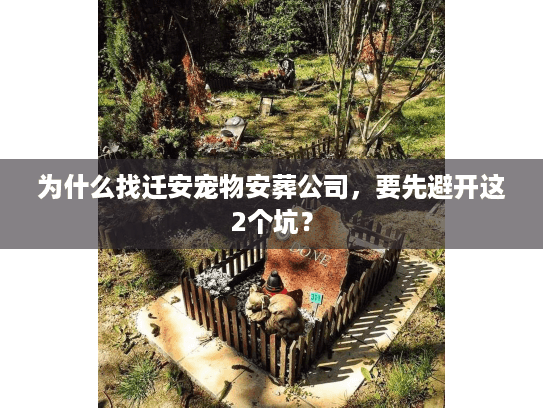 为什么找迁安宠物安葬公司，要先避开这2个坑？