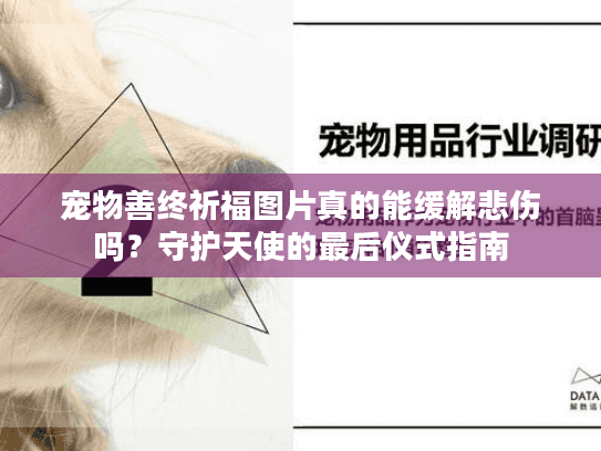 宠物善终祈福图片真的能缓解悲伤吗？守护天使的最后仪式指南