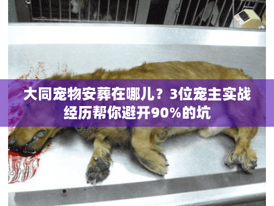 大同宠物安葬在哪儿？3位宠主实战经历帮你避开90%的坑