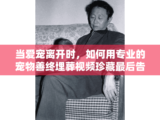 当爱宠离开时，如何用专业的宠物善终埋葬视频珍藏最后告别?