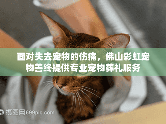 面对失去宠物的伤痛，佛山彩虹宠物善终提供专业宠物葬礼服务