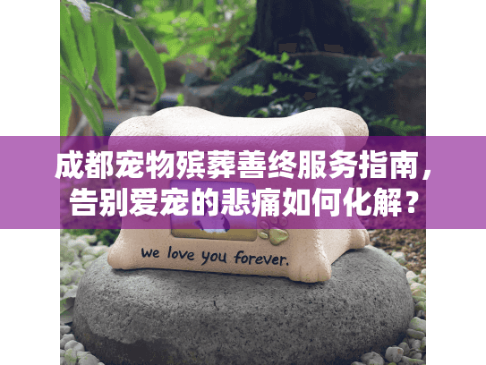 成都宠物殡葬善终服务指南，告别爱宠的悲痛如何化解？