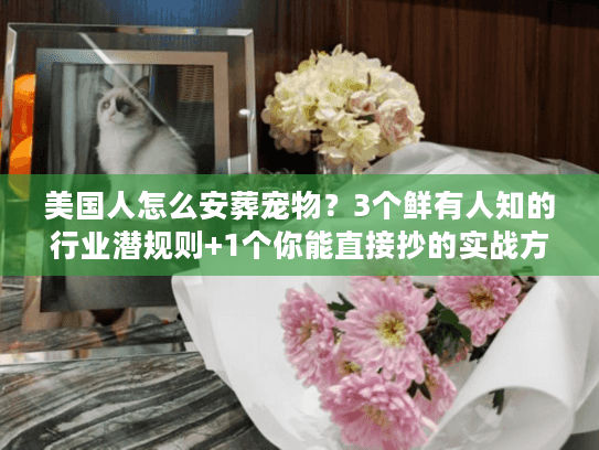 美国人怎么安葬宠物？3个鲜有人知的行业潜规则+1个你能直接抄的实战方案