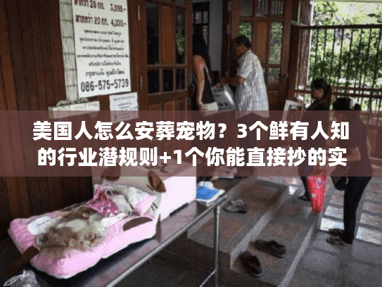 美国人怎么安葬宠物？3个鲜有人知的行业潜规则+1个你能直接抄的实战方案