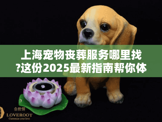 上海宠物丧葬服务哪里找?这份2025最新指南帮你体面告别爱宠