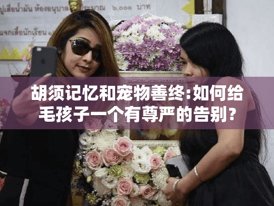 胡须记忆和宠物善终:如何给毛孩子一个有尊严的告别？