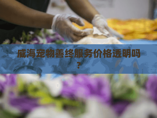 威海宠物善终服务价格透明吗?